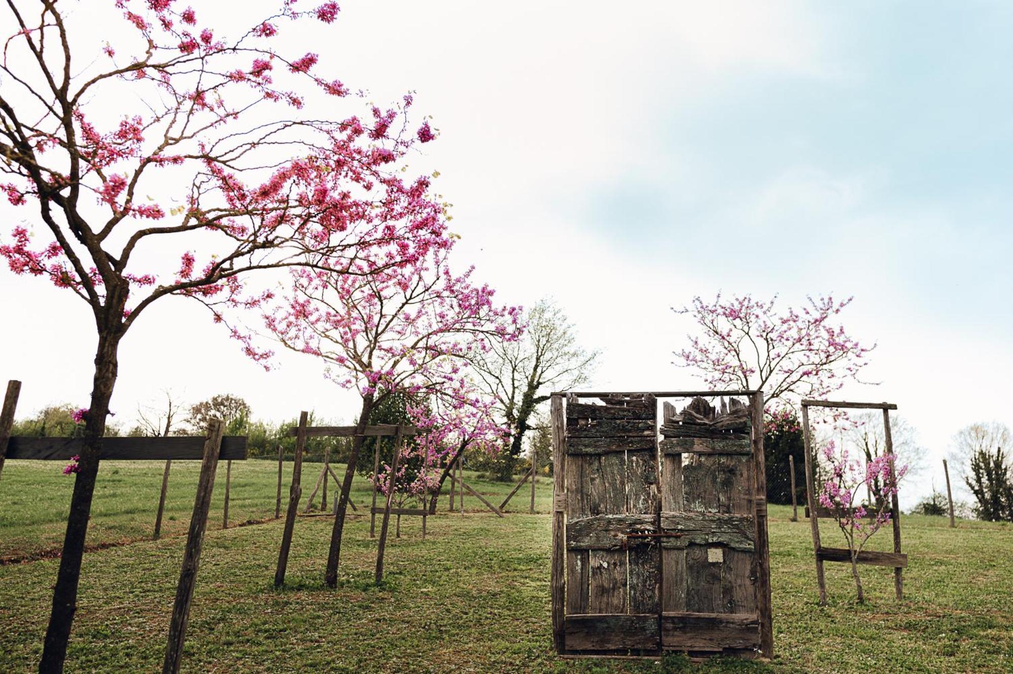 Rara Factory Design House Villa Orvieto Bagian luar foto