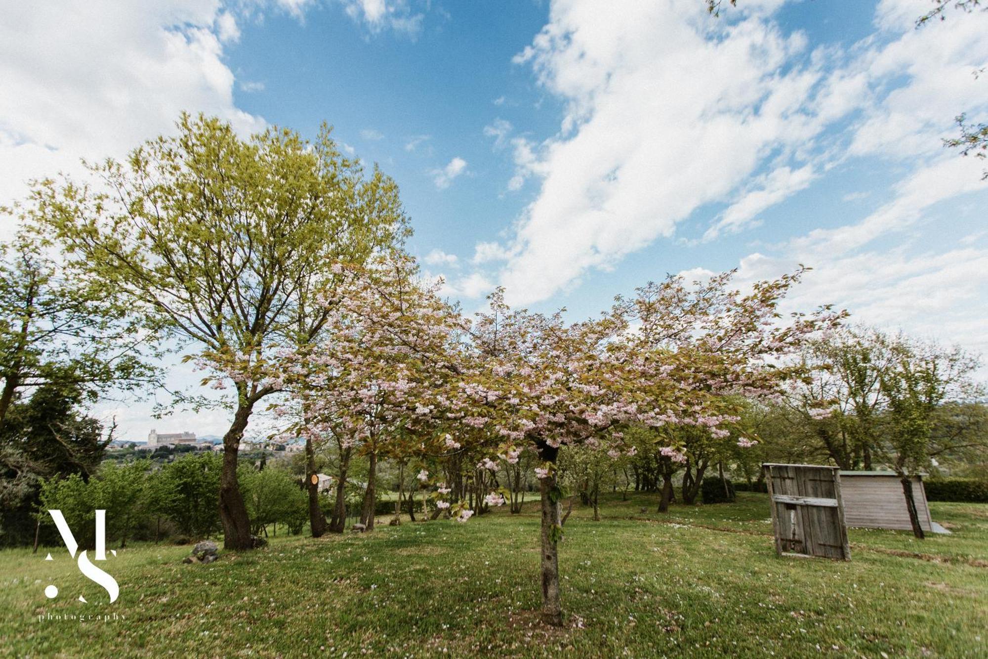 Rara Factory Design House Villa Orvieto Bagian luar foto